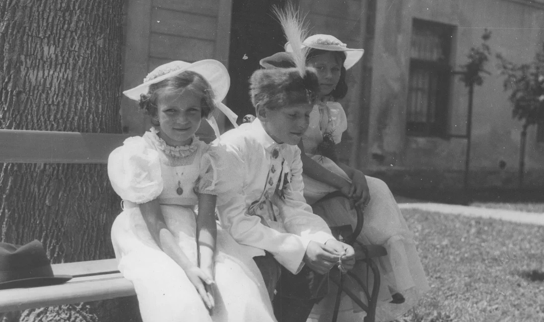 Sommerpicknick Vorher